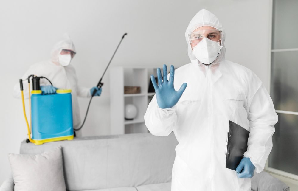black mold treatment